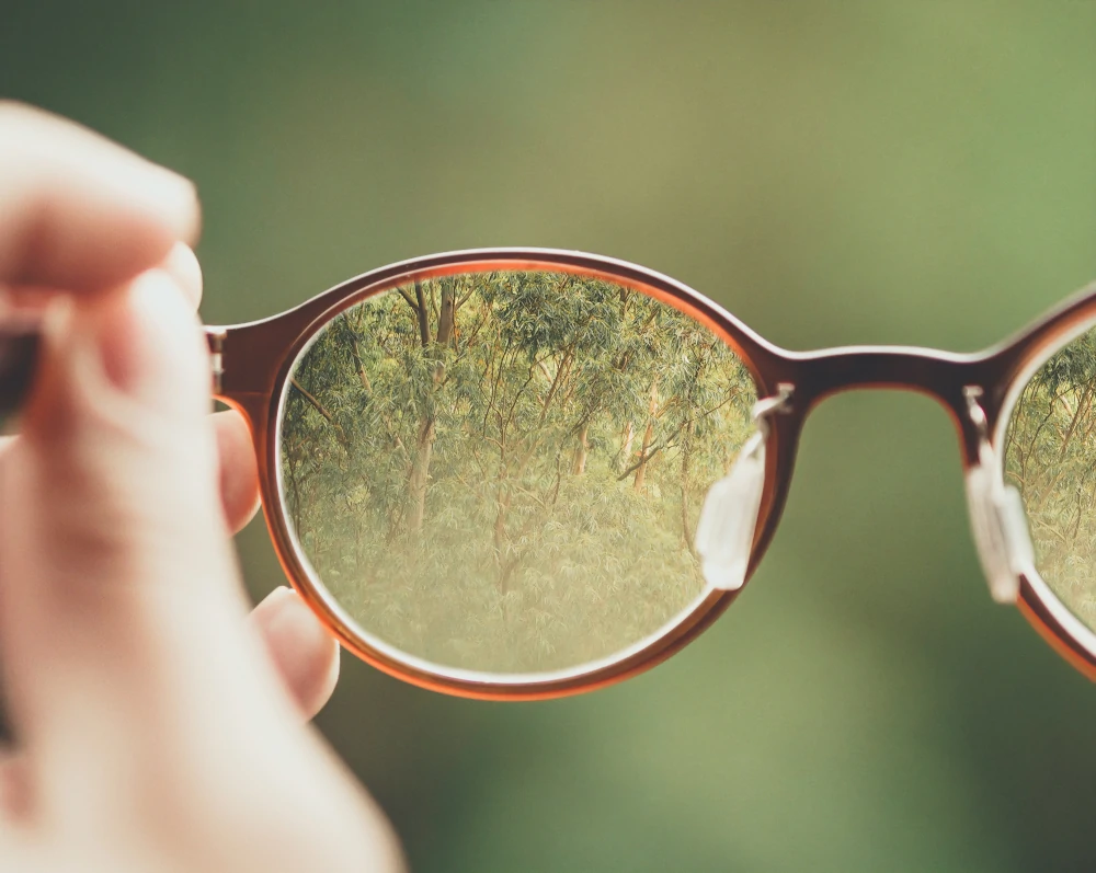 Man sieht den Blick durch eine Brille, die ein Mensch ca. 40 cm vor sich hält. Das ist eine Matapher dafür, dass Glaubenssätze und Denkmuster unsere Wahrnehmung wie eine Brille beeinflussen.